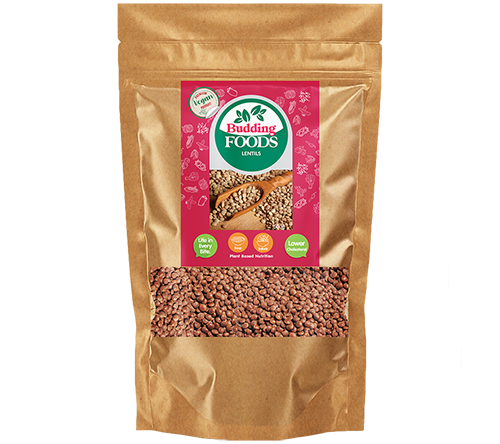 Lentils 500g